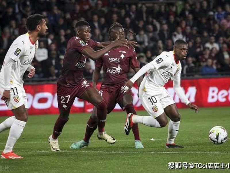 网站介绍
