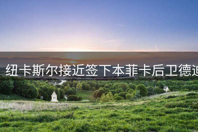 纽卡斯尔接近签下本菲卡后卫德迪奇 转会费存500万欧分歧